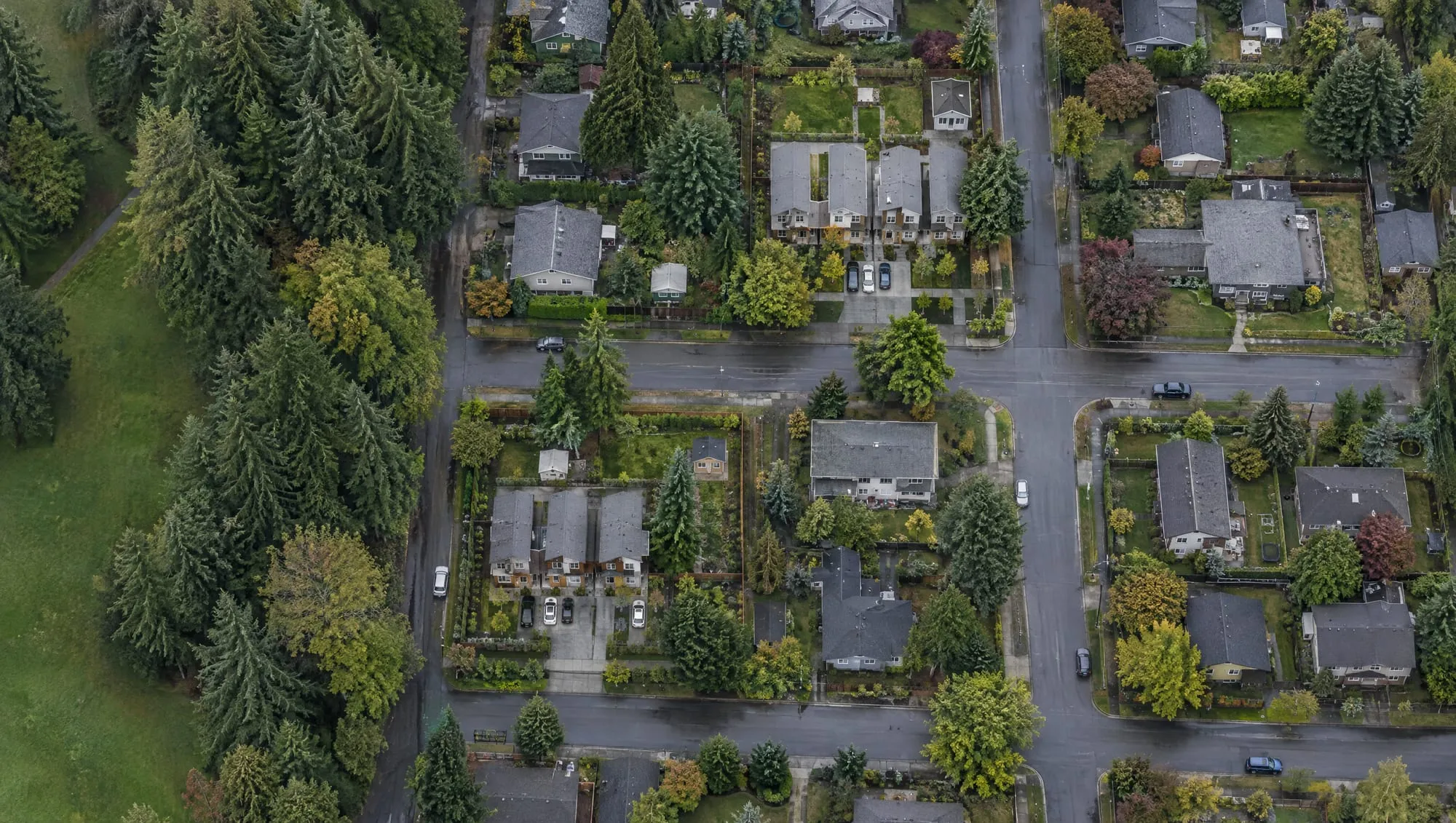 Aerial view of a wooded residential grid where two lots hold rows of new townhomes among older detached houses.