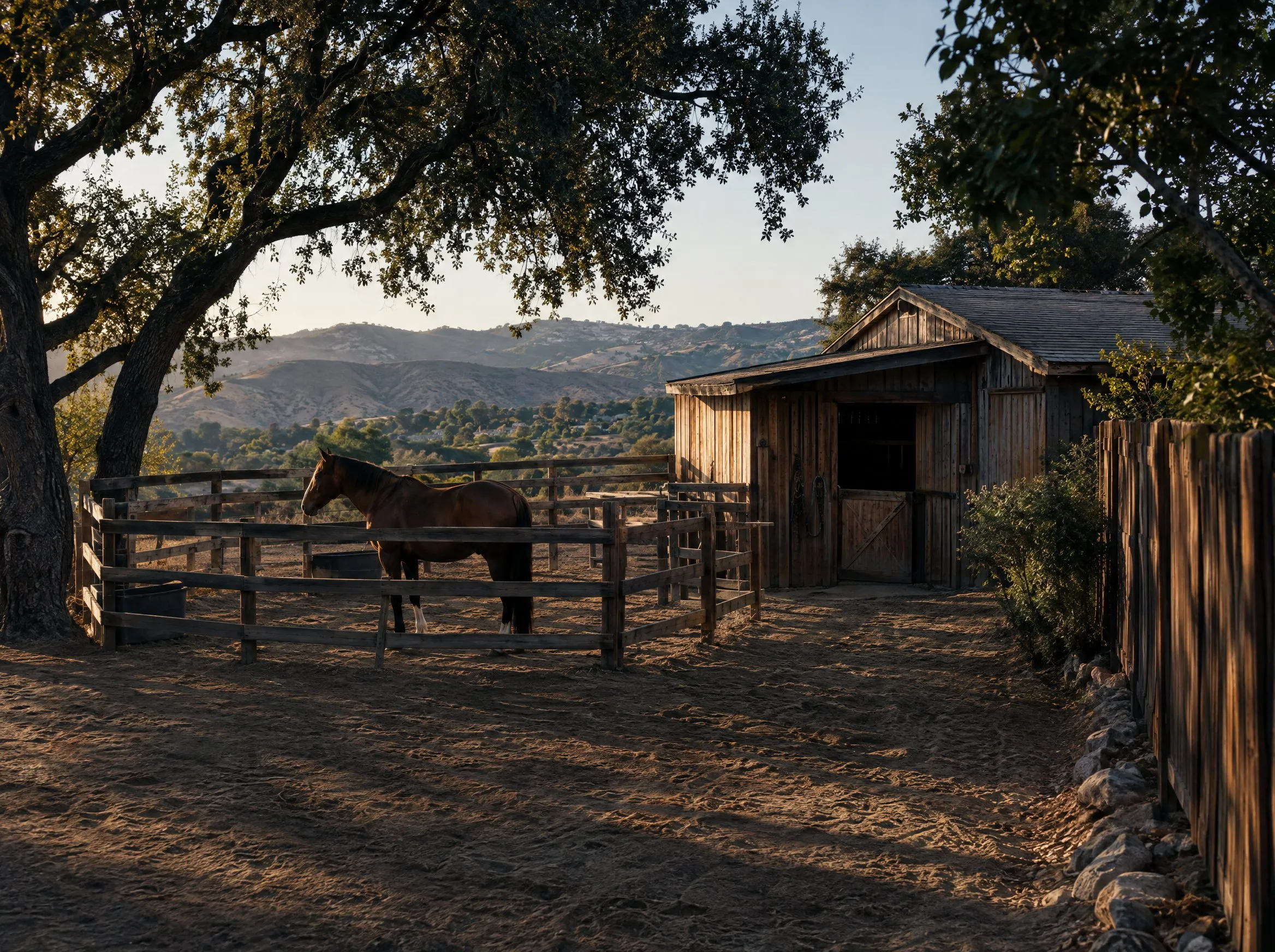 A small wooden corral with a horse and a weathered barn on a dry foothill lot.